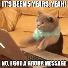 1 year anniversary work anniversary romantic happy birthday images image romantic photoshoot anniversary happy. It Has Been 5 Years Yeah No I Got A Group Message Fast Typing Cat Meme