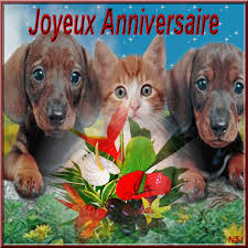 Maybe you would like to learn more about one of these? Les 500 Meilleures Chat Joyeux Anniversaire Gif 265339