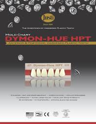 Dymon Hue Hpt Mold Chart Hard Copy