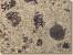 What Does Black Mold Look Like On Concrete Floors