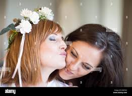 Best rose image hi-res stock photography and images