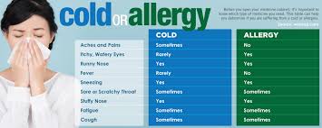 Cvs Health Allergy Relief 24 Hour Indoor Outdoor