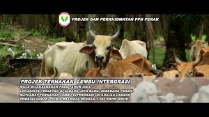 Maklumat kekosongan ini adalah seperti yang. Verstyleproduction Corporate Video Pertubuhan Peladang Negeri Perak Youtube