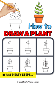 Cool marijuana drawings weed blunt drawings weed drawings graphics. Plant Drawing How To Draw A Plant Step By Step