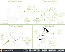 Start today and improve your skills. Short And Long Fur Cg Cookie