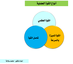 من أنواع القوة العضلية | 💖كتاب القوه العضليه
