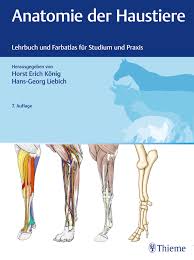 Kahle w and frotscher m: Anatomie Der Haustiere 9783132425095 Thieme Webshop