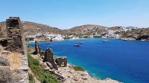 Image result for Faroa affinis