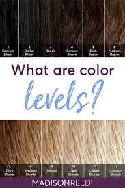 Generally, if more melanin is present, the color of the hair is darker; Dear Color Crew What Level Is My Hair Boxed Hair Color Brown Hair Color Chart Brown Hair Levels
