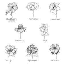 Image May Contain Drawing Floral Doodle Flower Doodles Flower Drawing