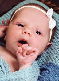 Birth announcement: Seibert