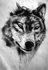 Wolf Head Drawing Looks Amazing As A Tattoo Wolf Head Drawing Wolf Drawing Wolf Tattoo Sleeve