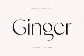 Best fonts in photoshop #16 dowlink the geometric long drawn letters of the font are complemented by thin and uneven brush strokes. What Fonts Are Trending Now And Font Trends For 2022
