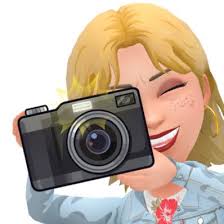 What's the survey for the cultural council?