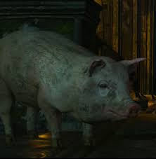 We did not find results for: Igor Fools Gold Witcher Wiki Fandom
