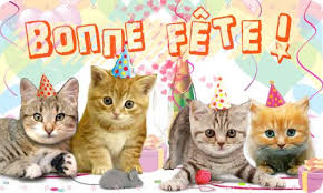 Bonne Fete Recherche Google Cats Day Wishes Animals