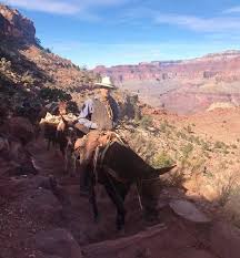 This time of year is an especially gorgeous chance to catch a glimpse of a new part of the country. 23 Thanksgiving Buffet Celebrations At State National Parks