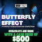 Butterfly Effect: A FairyFly Expo