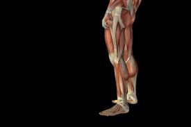 Pin On Sciatica Pain Relief