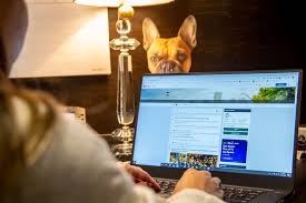 You will forever associate that name with their loyalty and love. What Is Reddit