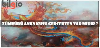 simurg zumrudu anka kusu gercekten var midir bilgio net gercekler kusu mitoloji