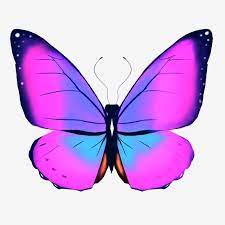 Ini adalah jawatan pertama dalam siri lima hari mengenai planet kita. Gambar Rama Rama Ungu Rama Rama Yang Cantik Rama Rama Terbang Rama Serangga Ungu Rama Rama Rama Rama Yang Cantik Rama Rama Terbang Png Dan Psd Untuk Muat Tur Purple Butterfly