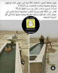pin on منوع