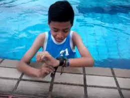 Kolam Renang Bukit Cipaku Indah Bandung Air Panas Youtube