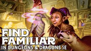 Find Familiar In Dungeons And Dragons 5e Youtube
