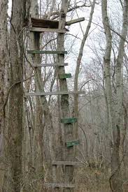 If there are no trees in the area that can accommodate a stand, place a natural or commercial ground blind downwind of the funnel. Wood Tree Stand Plans Easy To Follow How To Build A Diy Woodworking Projects Wood