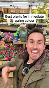 Top 5 Plants for Immediate Spring Color in Your Garden