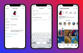 For businesses and individuals alike, a good instagram bio is key. Instagram Adds A Dedicated Spot For Your Pronouns Techcrunch