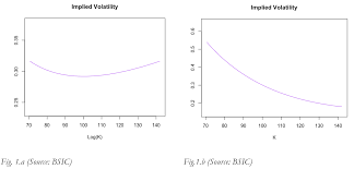 Volatility Shapes Bsic Bocconi Students Investment Club