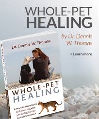 Does Your Dog Have Allergies Here Are 4 Natural Remedies By Dr Dennis Thomas Healyourlife