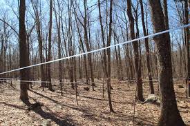 This completed webtoon was released on 2019. Maple Sugarbush Tour Gives History Taste Of Syrup Times News Online