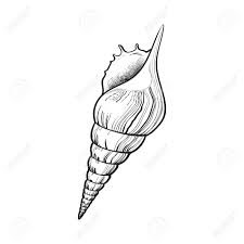 Thanks for watching our channel. Spiral Conch Sea Shell Sketch Style Vector Illustration Isolated Royalty Free Cliparts Vectors And Stock Illustration Image 69596914