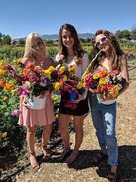 Maybe you would like to learn more about one of these? Pick Your Own Flowers Garden Sweet