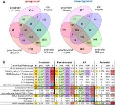 Image result for Anthralin