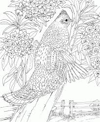 Download or print for free Coloring Pages For Girls Hard 3 Jpg Coloring Home