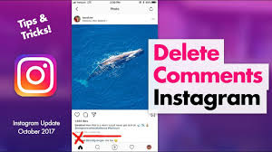 Open the instagram app on your iphone or android and log in to your account. Can You Delete Instagram Comments Instapicstech