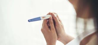 Transferencia Embrionaria Ovoclinic Clinica De Reproduccion Asistida