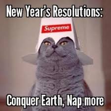 70 Funny New Year S Resolutions That Ll Make You Laugh Funny New Years Memes New Years Resolution Funny Happy New Year Funny