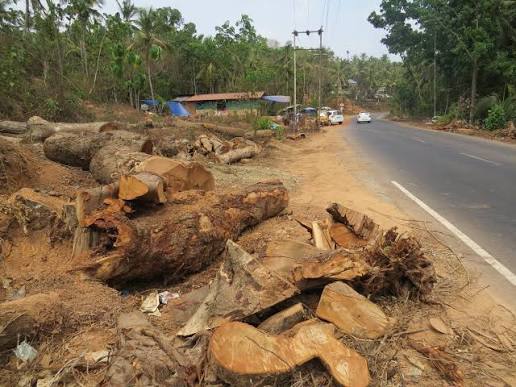 Highway tree cutting in Hyderabad