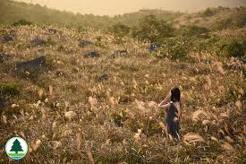 The site owner hides the web page description. æ¼è¾²è‡ªç„¶è­·ç†ç½² éƒŠé‡Žå…¬åœ'åŠæµ·å²¸å…¬åœ' éŠè¦½éƒŠé‡Žå…¬åœ'åŠæµ·å²¸å…¬åœ' éƒŠé‡Žå…¬åœ' å¤§å¸½å±±
