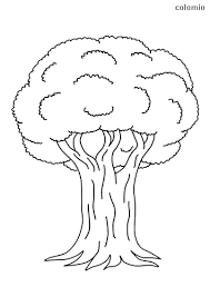 Then, they add the leaf where it is also various too. Trees Coloring Pages Free Printable Tree Coloring Sheets