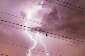 Orages en France : les départements concernés par le violent épisode de jeudi et vendredi — Linternaute.com