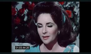 Elizabeth Taylor Archives