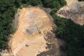 Join or create book clubs. Environmental Groups Top Secret Pacific Trade Agreement To Sacrifice Wildlife Environment