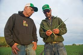 Farm to Table: Walla Walla Onion