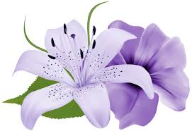 Purple Deco Flowers Png Clipart Best Web Clipart Lily Flower Flower Clipart Purple Lily